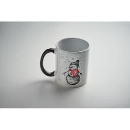 FESTIMUG 33