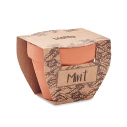 MINT POT 4