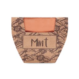MINT POT 2