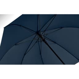LLUVIA 12