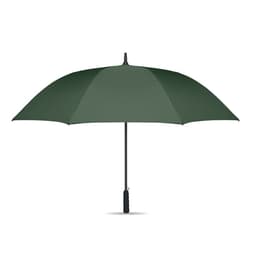 LLUVIA 34