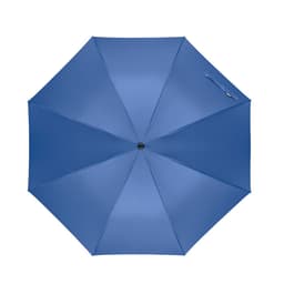 LLUVIA 31