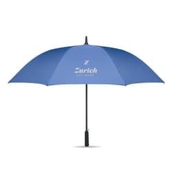 LLUVIA 29