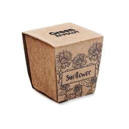 SUNFLOWER KIT 5