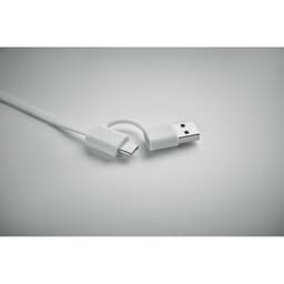 LINEA 10