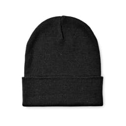 BEANIX 1