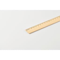 RULER30 3