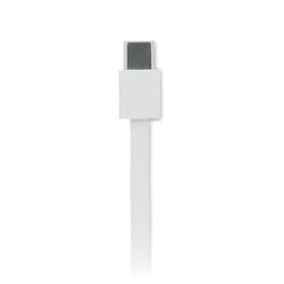 LINEA 100 20