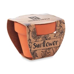 SUNFLOWER 4
