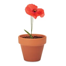 RED POPPY 4