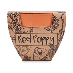RED POPPY 2