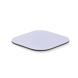 LIENZO 1