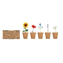 FLOWERS 4