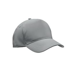 RAYS 1