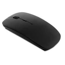 CURVY 7