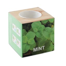 MENTA 1