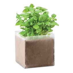 BASIL 1