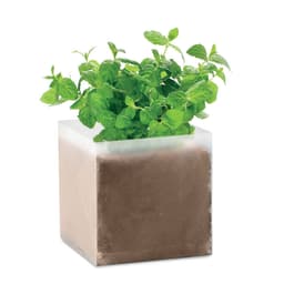 MINT 1
