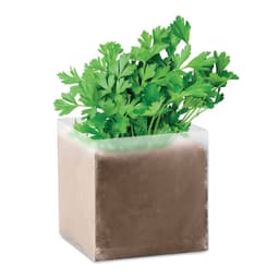 PARSELY 1