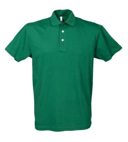Polo Panama 6